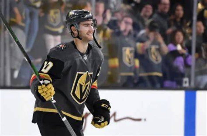 Is Nicolas Roy Related To Patrick Roy? Family Tree Siblings And Ethnicity